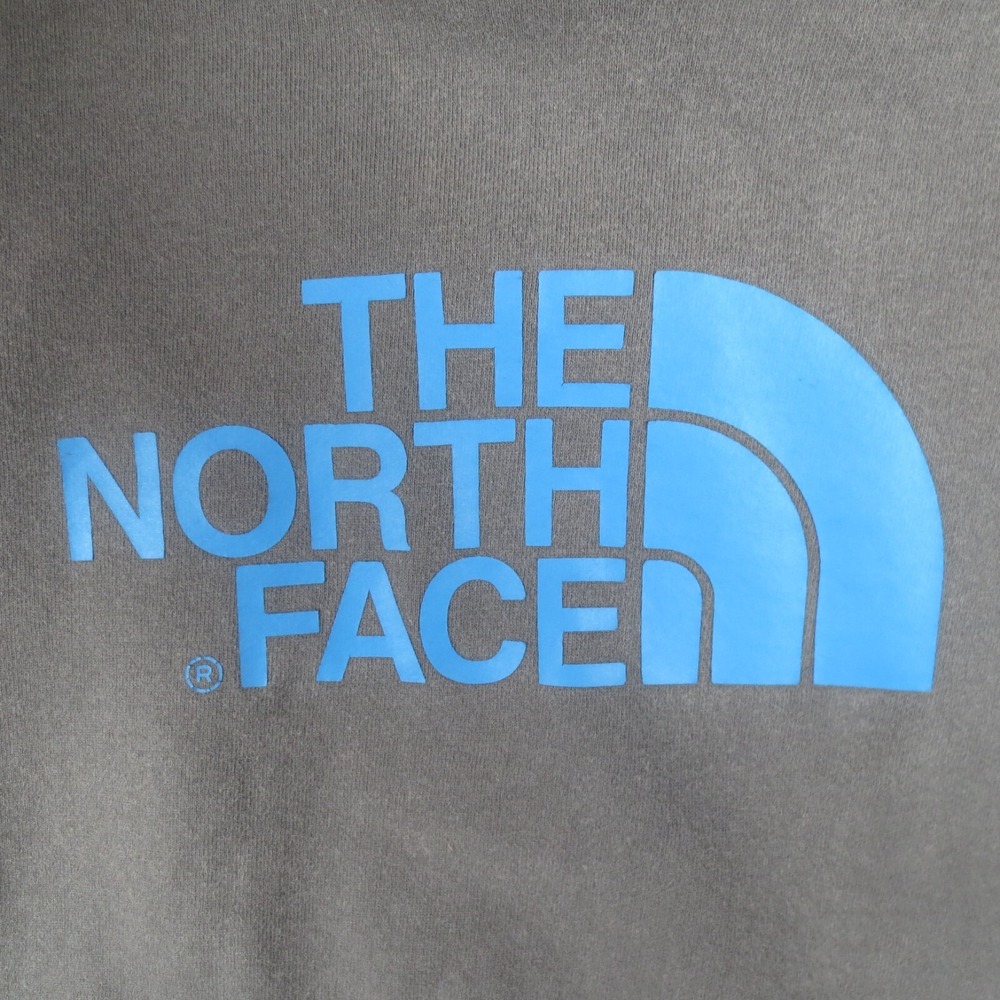 North Face Hoodie Men Small Gray Blue Classic Half Dome Logo Pullover Sweatshirt